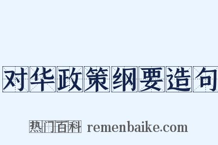 对华政策纲要造句是什么意思的图片